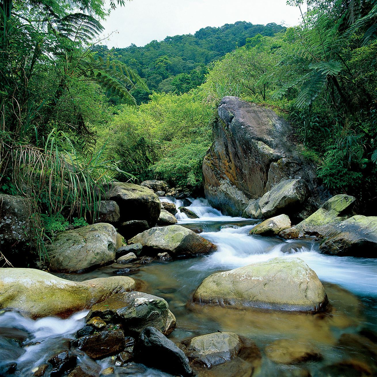 松羅國家步道 照片 2