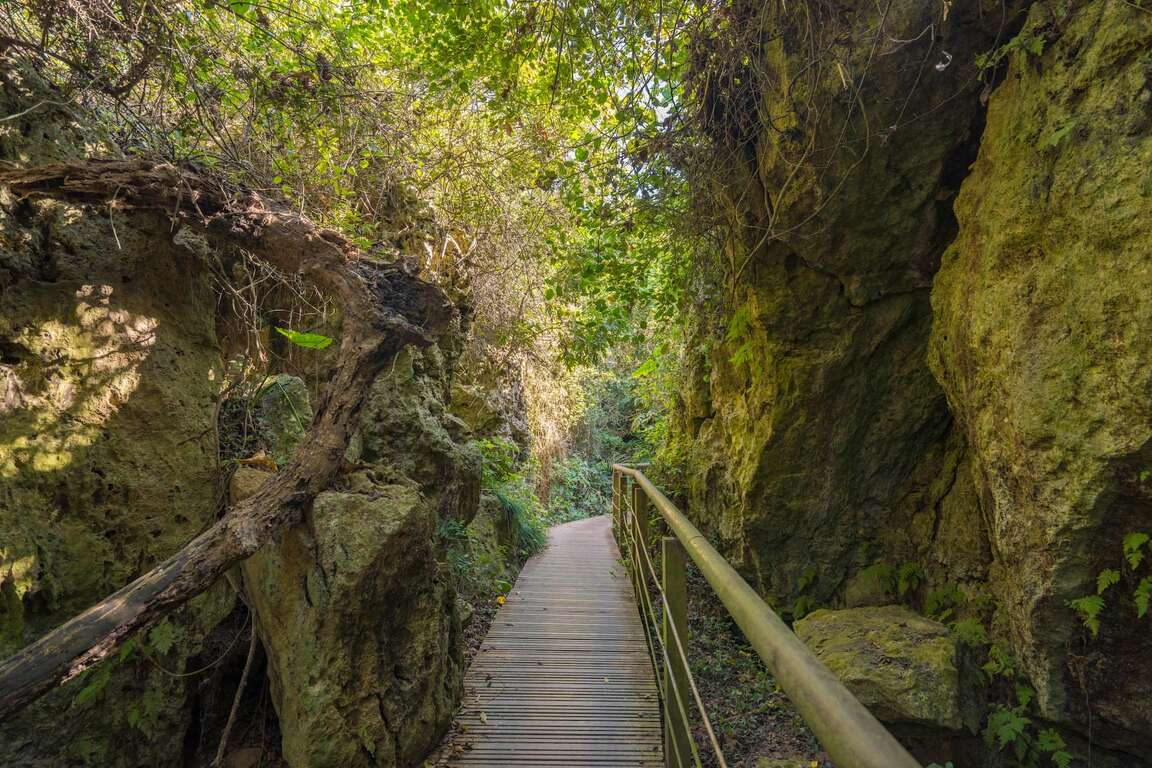 柴山登山步道 照片 2