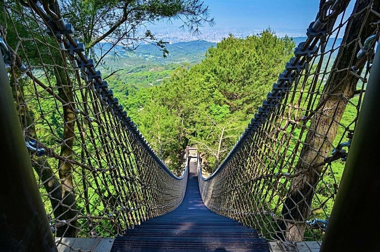 大坑4號登山步道 照片 4